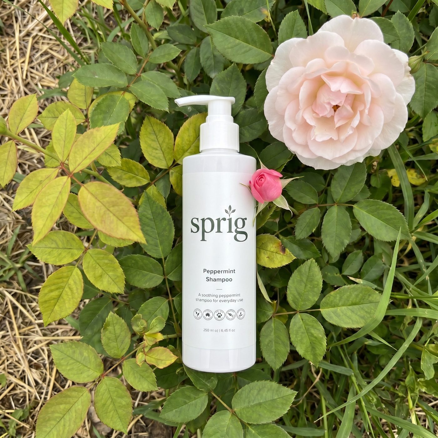 Peppermint Shampoo